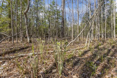 Lot 45-2 Pinewoods Trail Oakland ME 04963