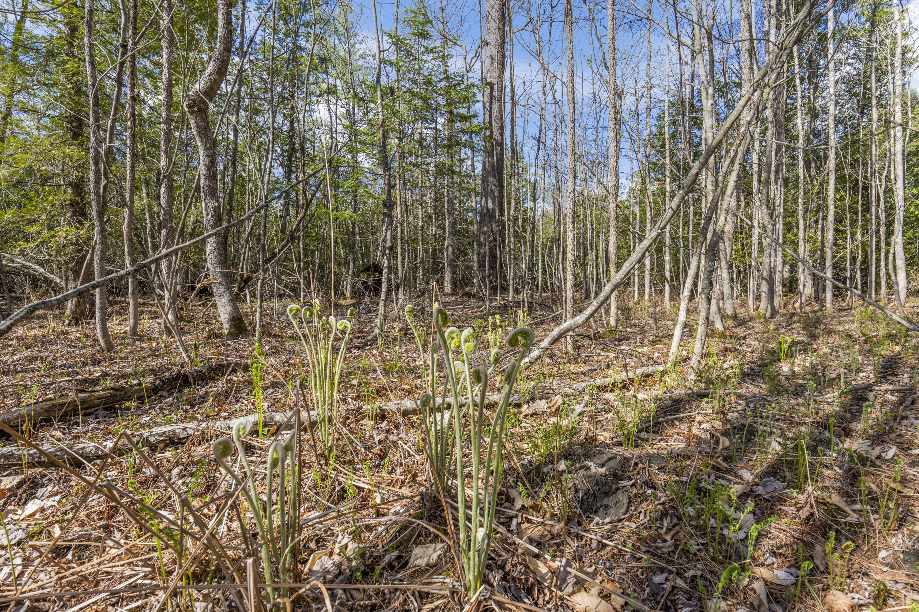 Lot 45-2 Pinewoods Trail Oakland ME 04963