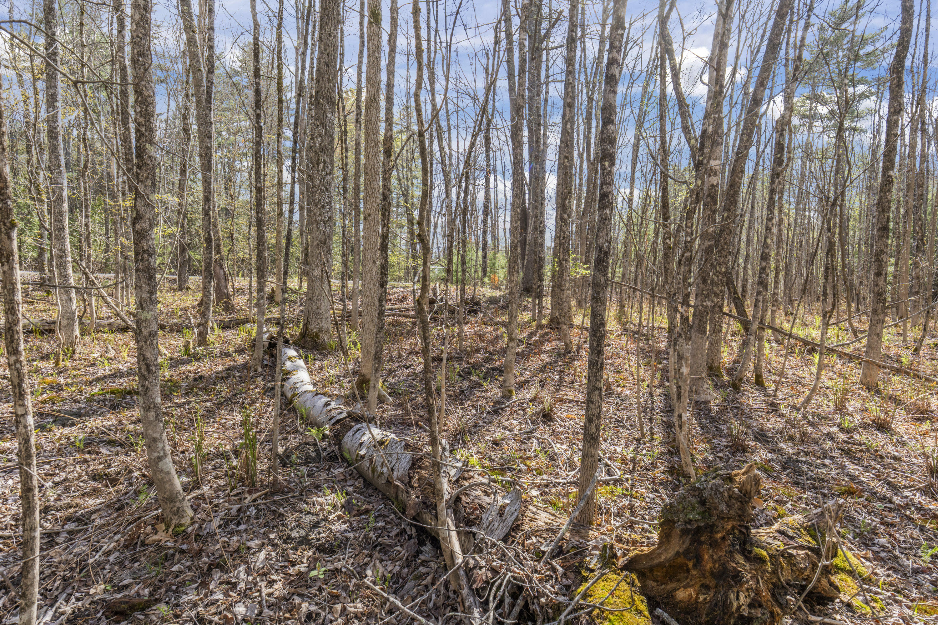 Lot 45-2 Pinewoods Trail Oakland ME 04963