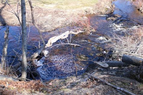 20 Towne Road Madison ME 04950