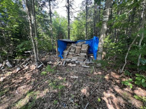 33 Bradstreet Road Parkman ME 04443