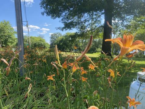 1690 River Road Clinton ME 04927