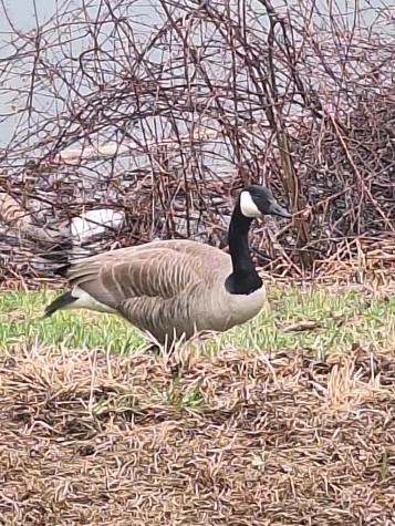 1690 River Road Clinton ME 04927