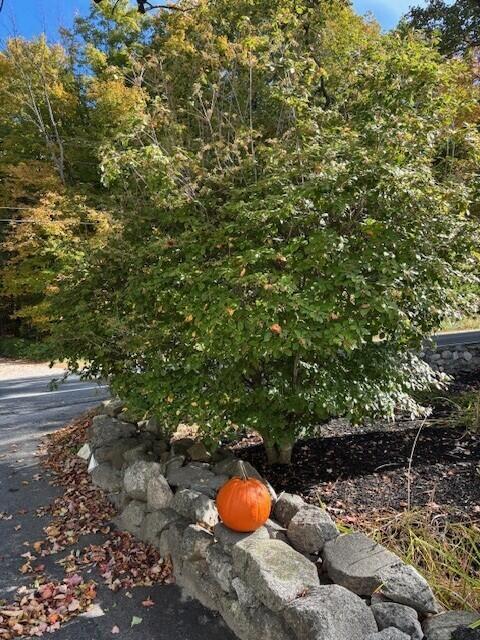 486 Webbs Mills Road Raymond ME 04071