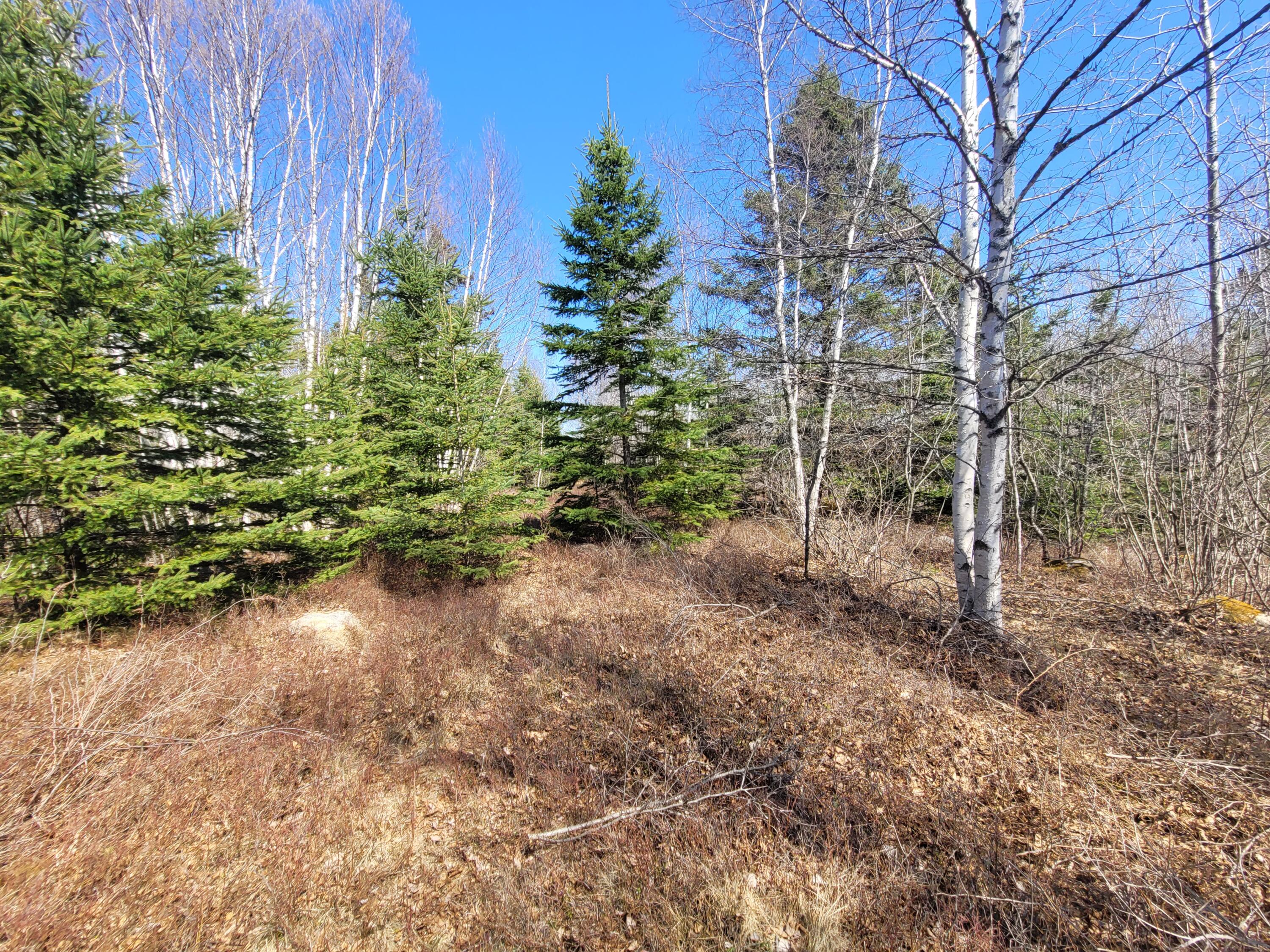 29 Reef Point Road Addison ME 04606