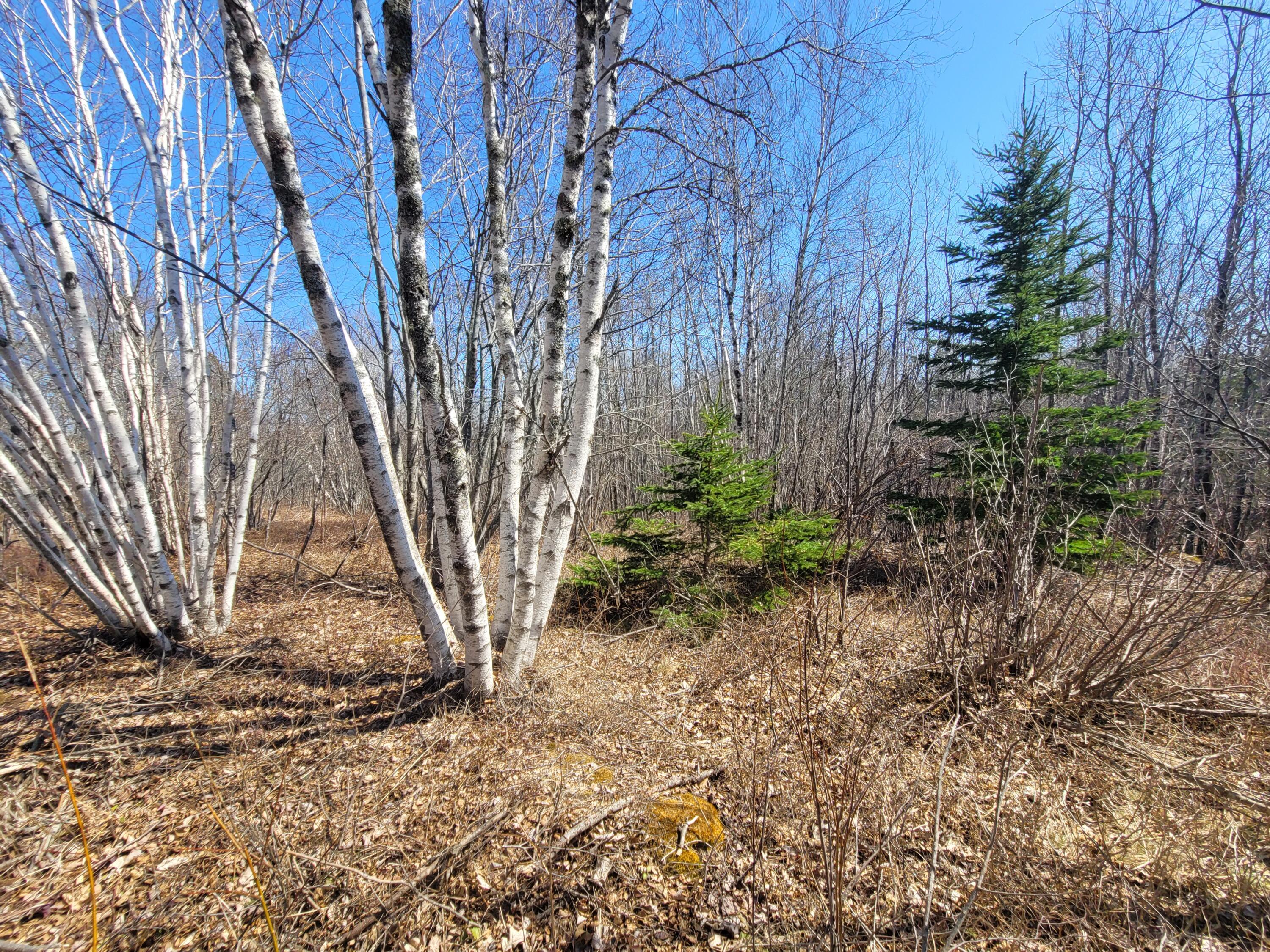 29 Reef Point Road Addison ME 04606