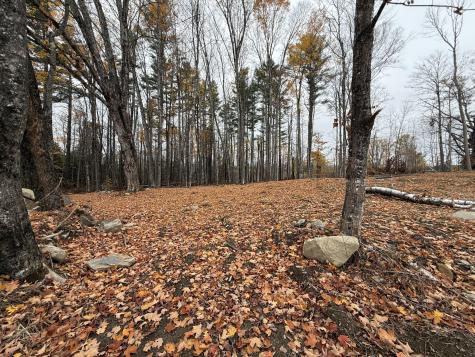 M15L16-1 Oldham Road Saint Albans ME 04971