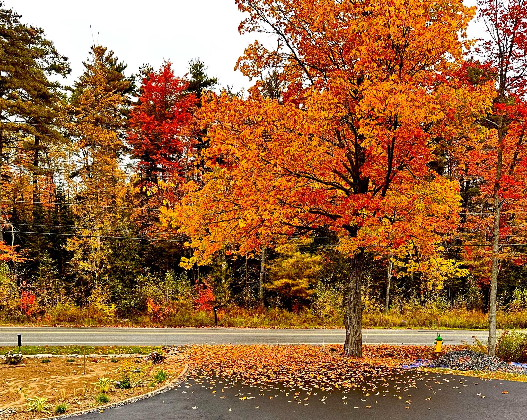 245 Eastern Avenue Brewer ME 04412