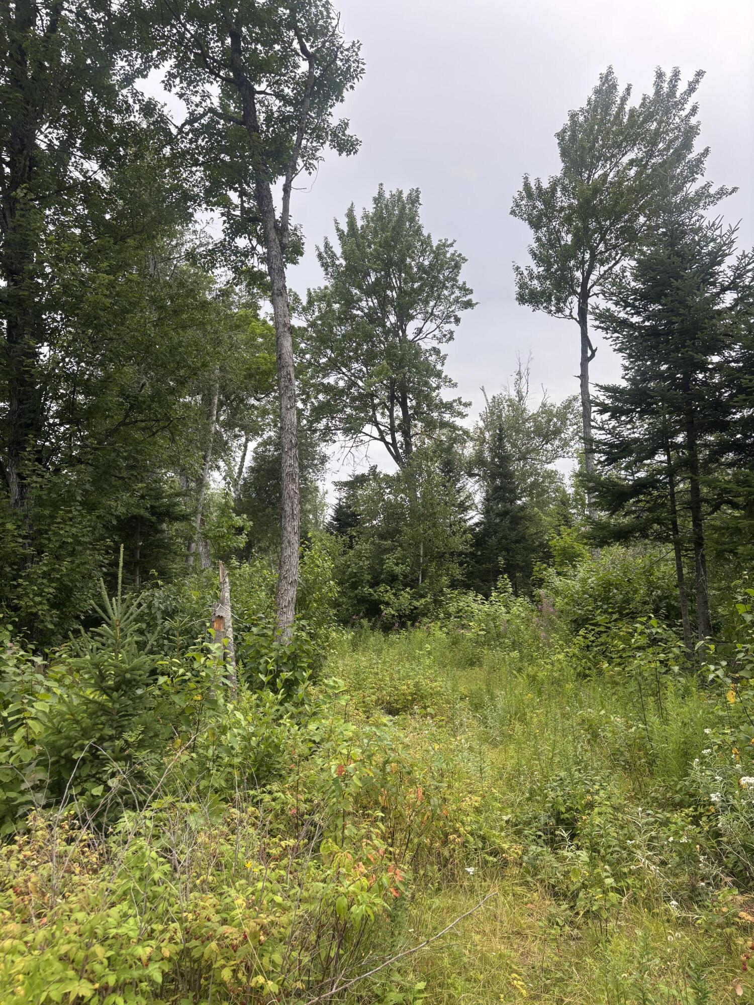 64 Ip Road Coplin Plt ME 04982