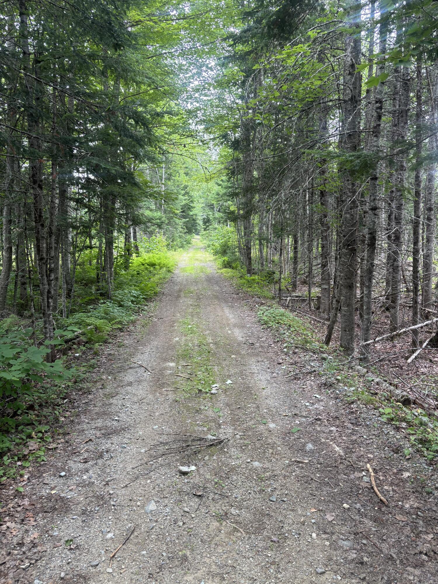 64 Ip Road Coplin Plt ME 04982