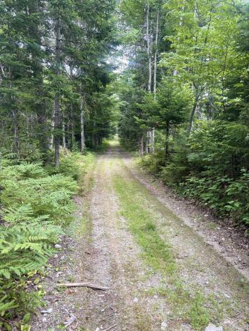 64 Ip Road Coplin Plt ME 04982