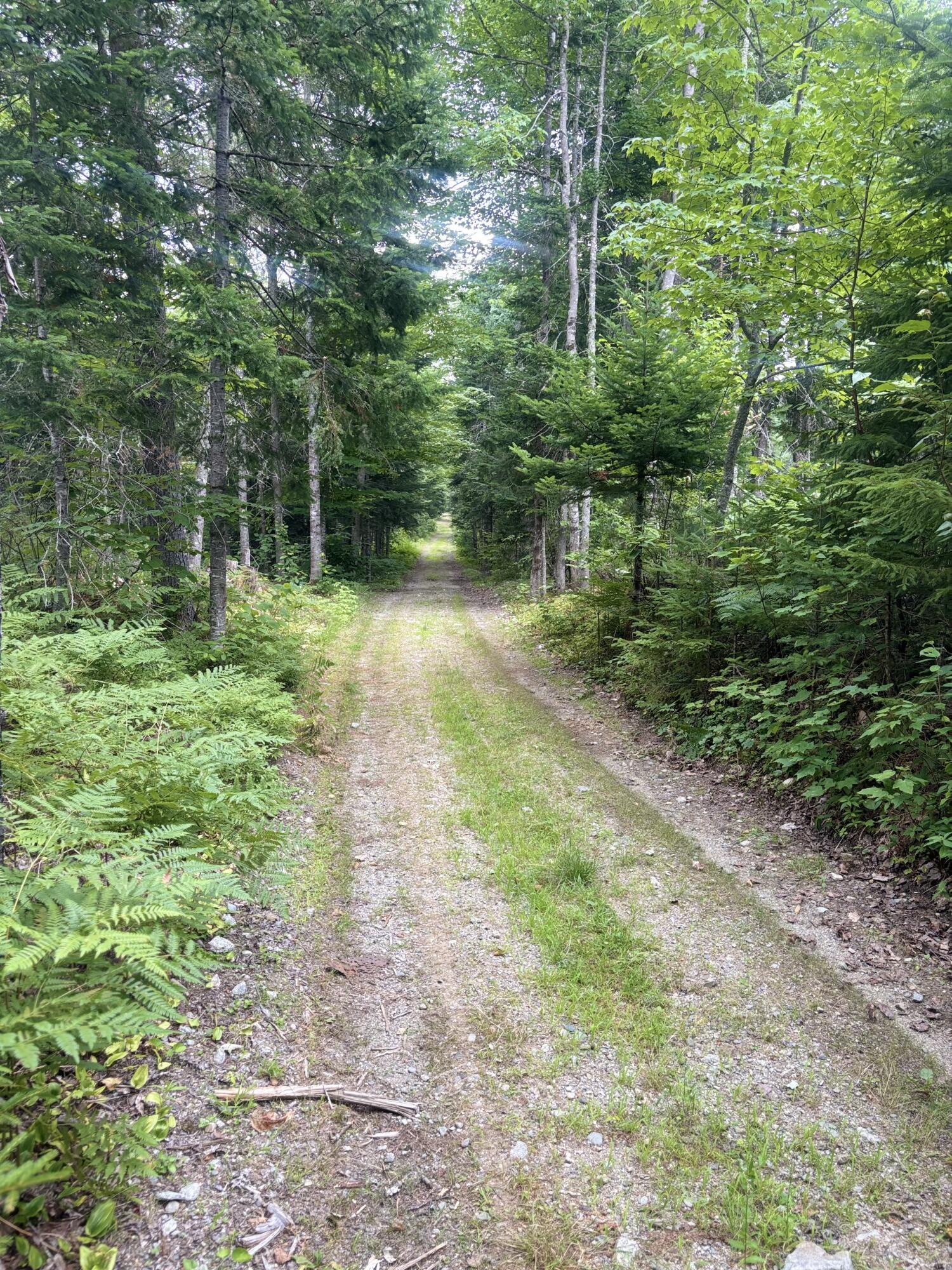 64 Ip Road Coplin Plt ME 04982