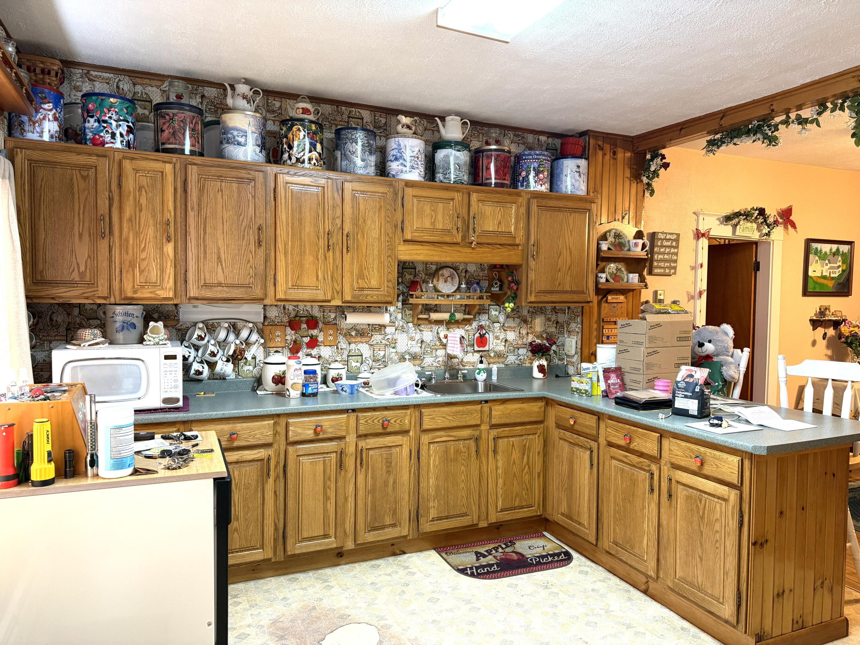 47 Elm Street Milo ME 04463