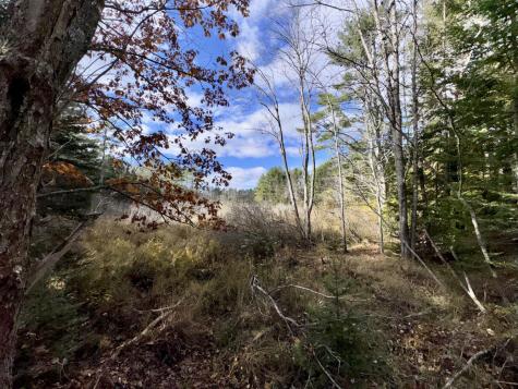2738 Burkettville Road Liberty ME 04949