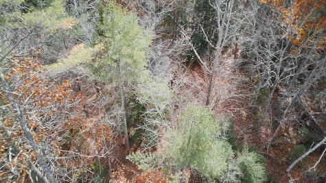 2738 Burkettville Road Liberty ME 04949