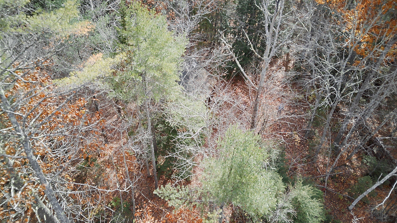 2738 Burkettville Road Liberty ME 04949