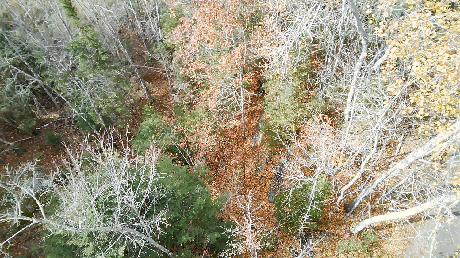 2738 Burkettville Road Liberty ME 04949