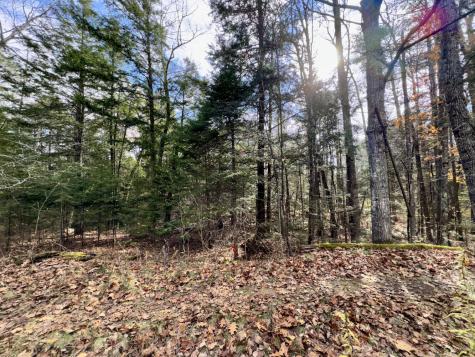 2738 Burkettville Road Liberty ME 04949