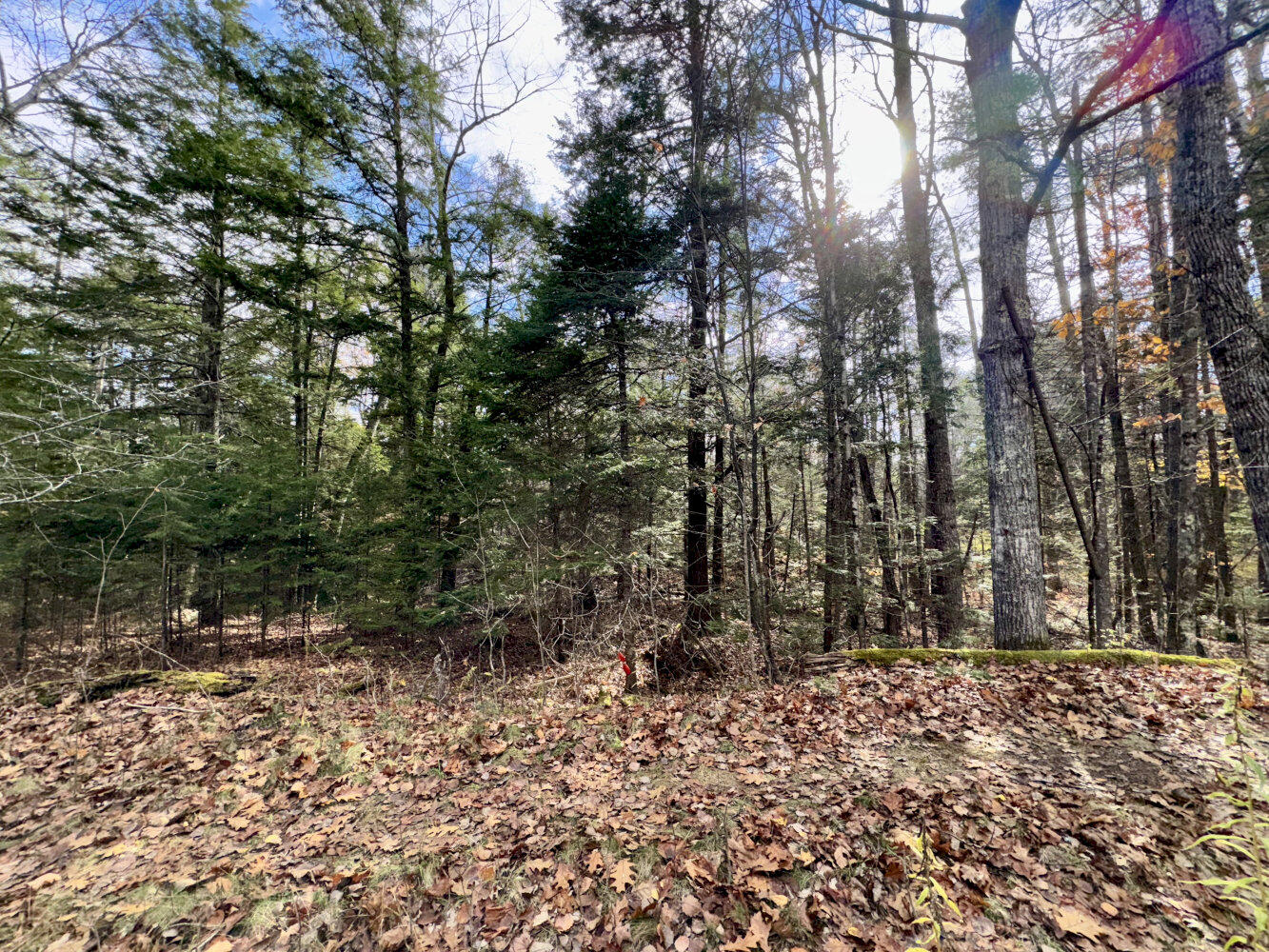 2738 Burkettville Road Liberty ME 04949