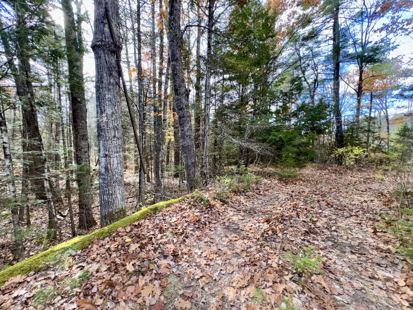 2738 Burkettville Road Liberty ME 04949