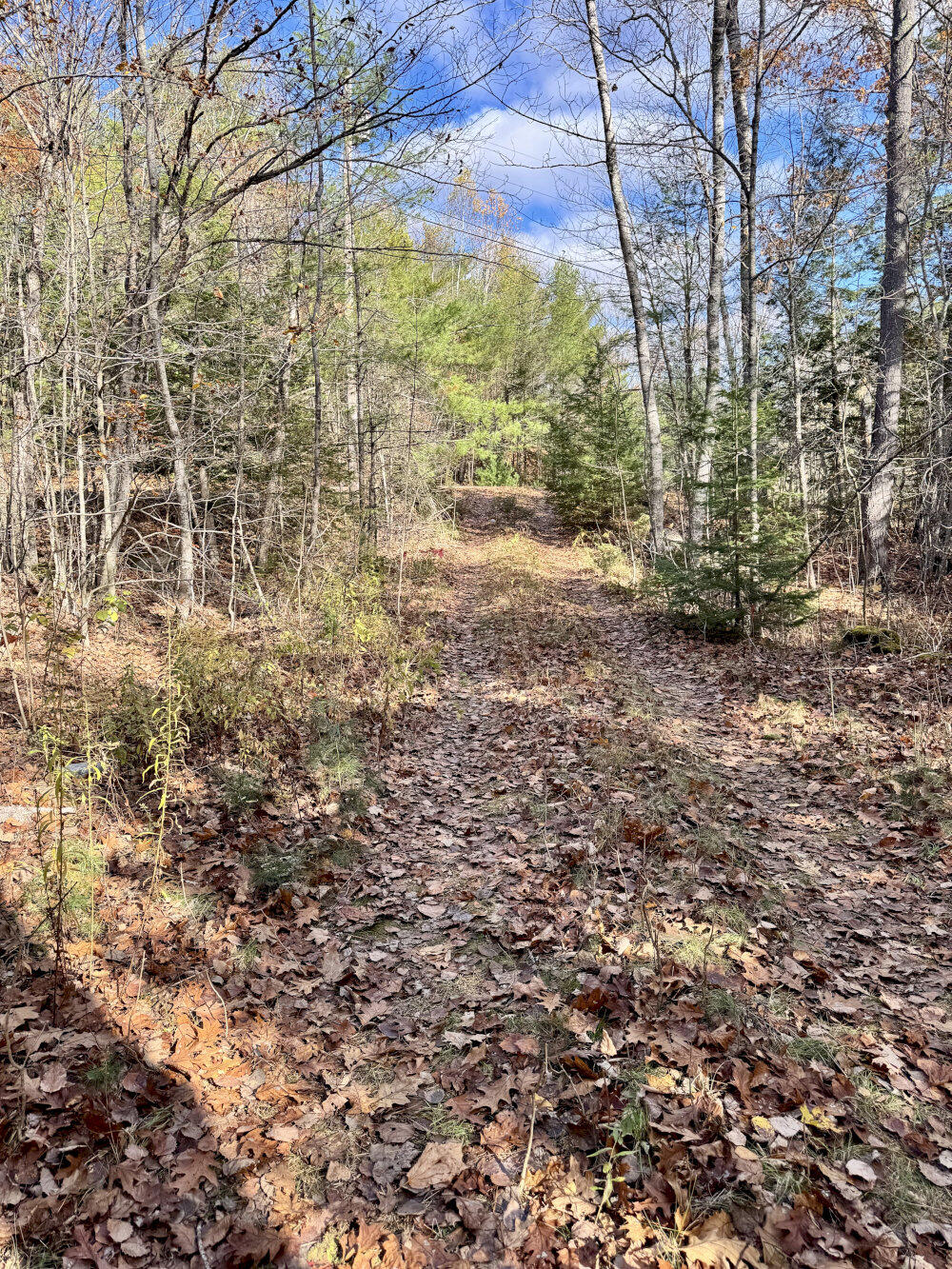 2738 Burkettville Road Liberty ME 04949