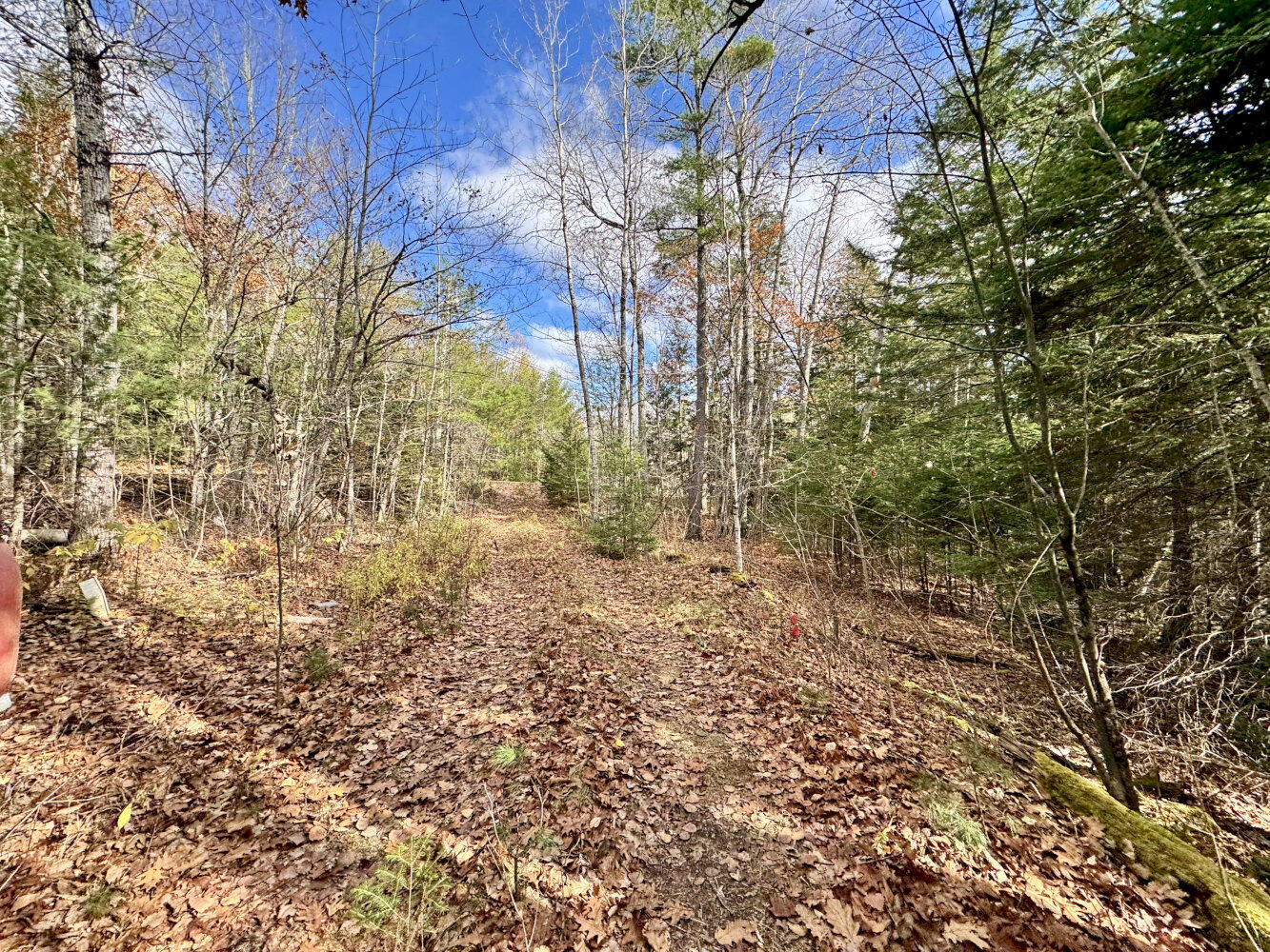 2738 Burkettville Road Liberty ME 04949