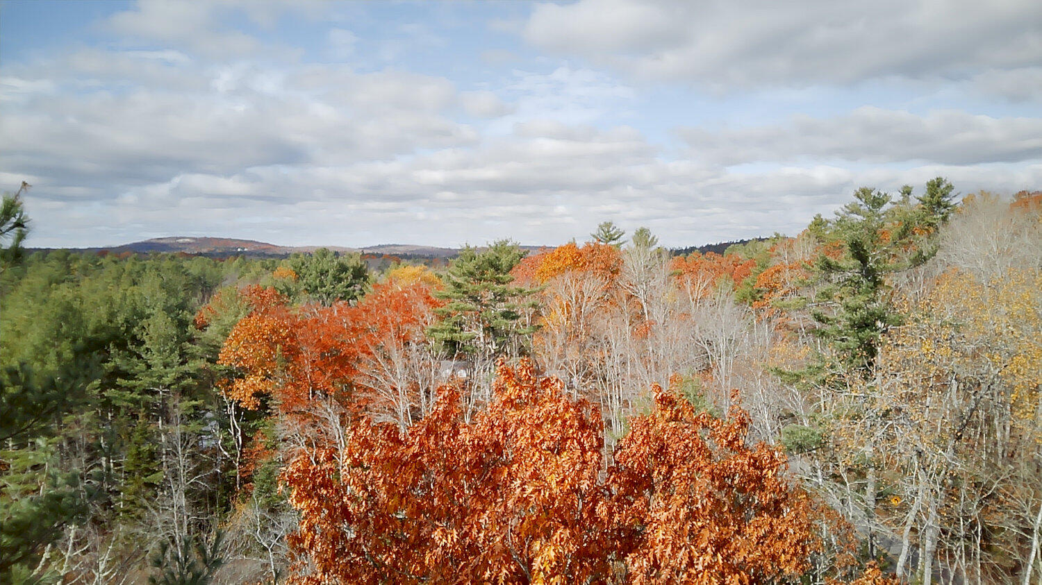 2738 Burkettville Road Liberty ME 04949