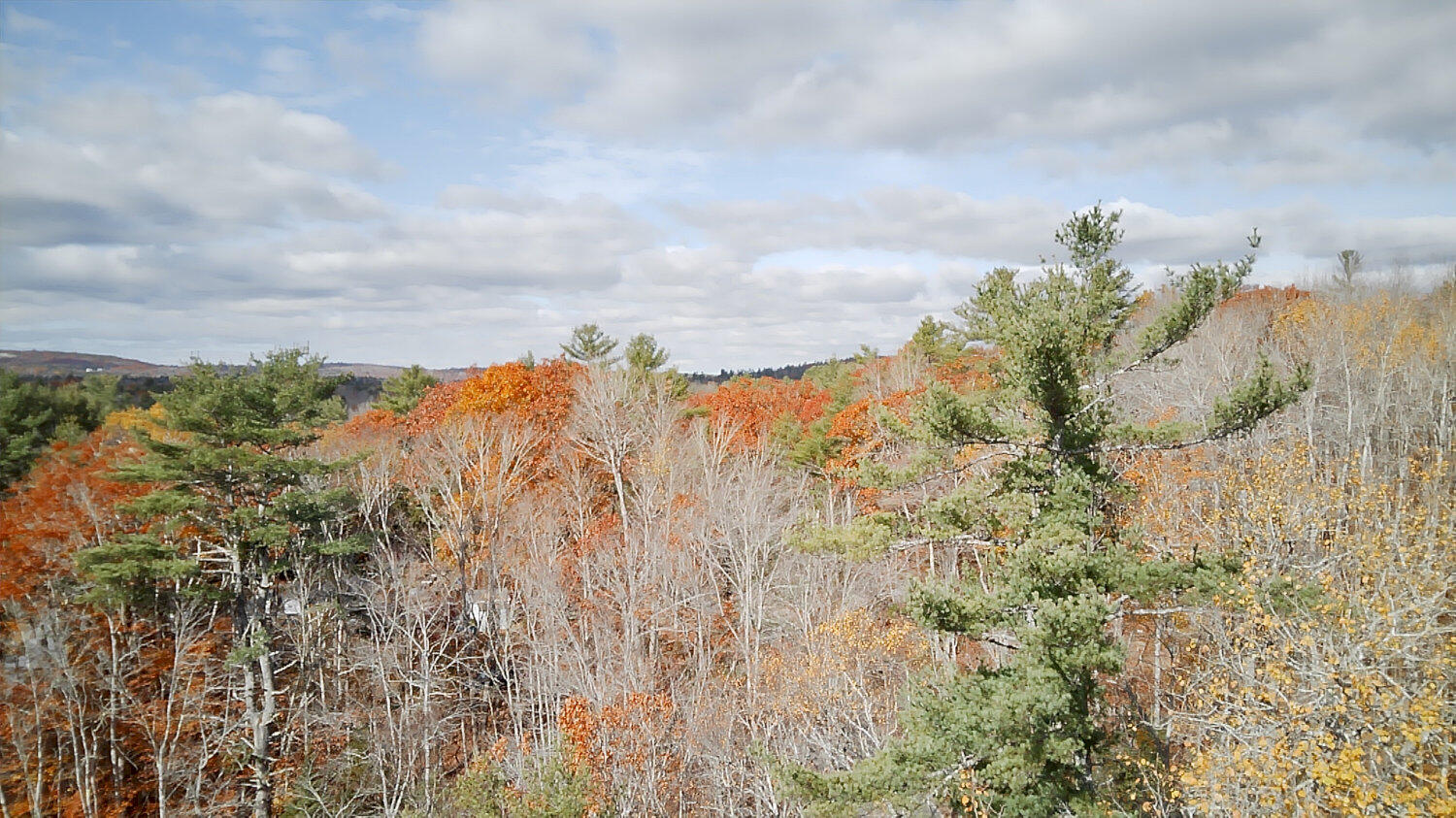 2738 Burkettville Road Liberty ME 04949