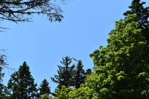 11 Sardine Way Lubec ME 04652