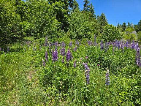 11 Sardine Way Lubec ME 04652