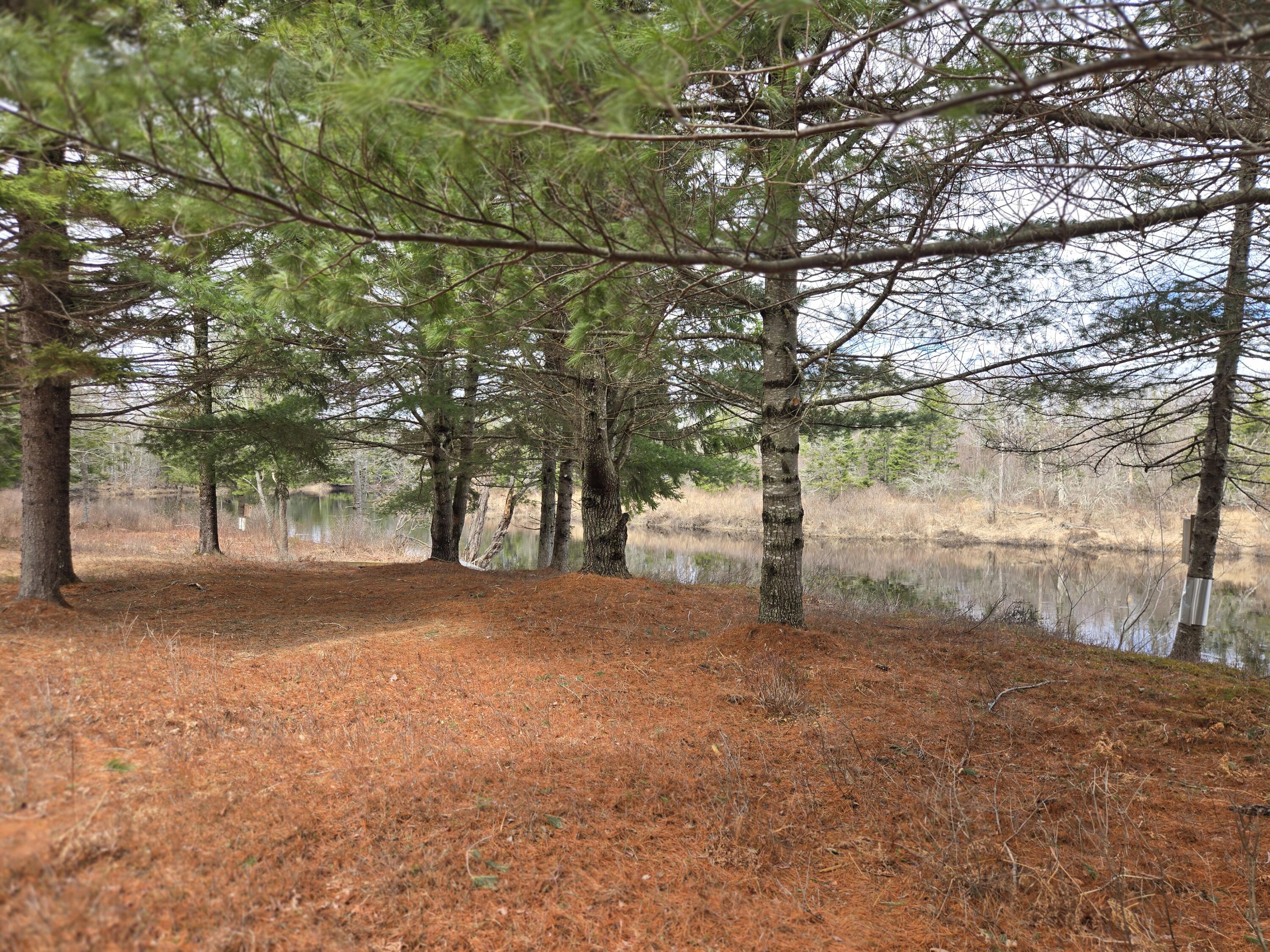 84 Hanscom Road Whitneyville ME 04654