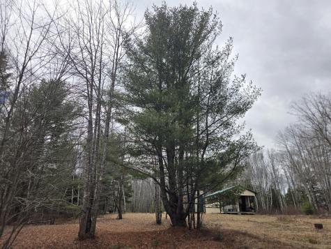 84 Hanscom Road Whitneyville ME 04654
