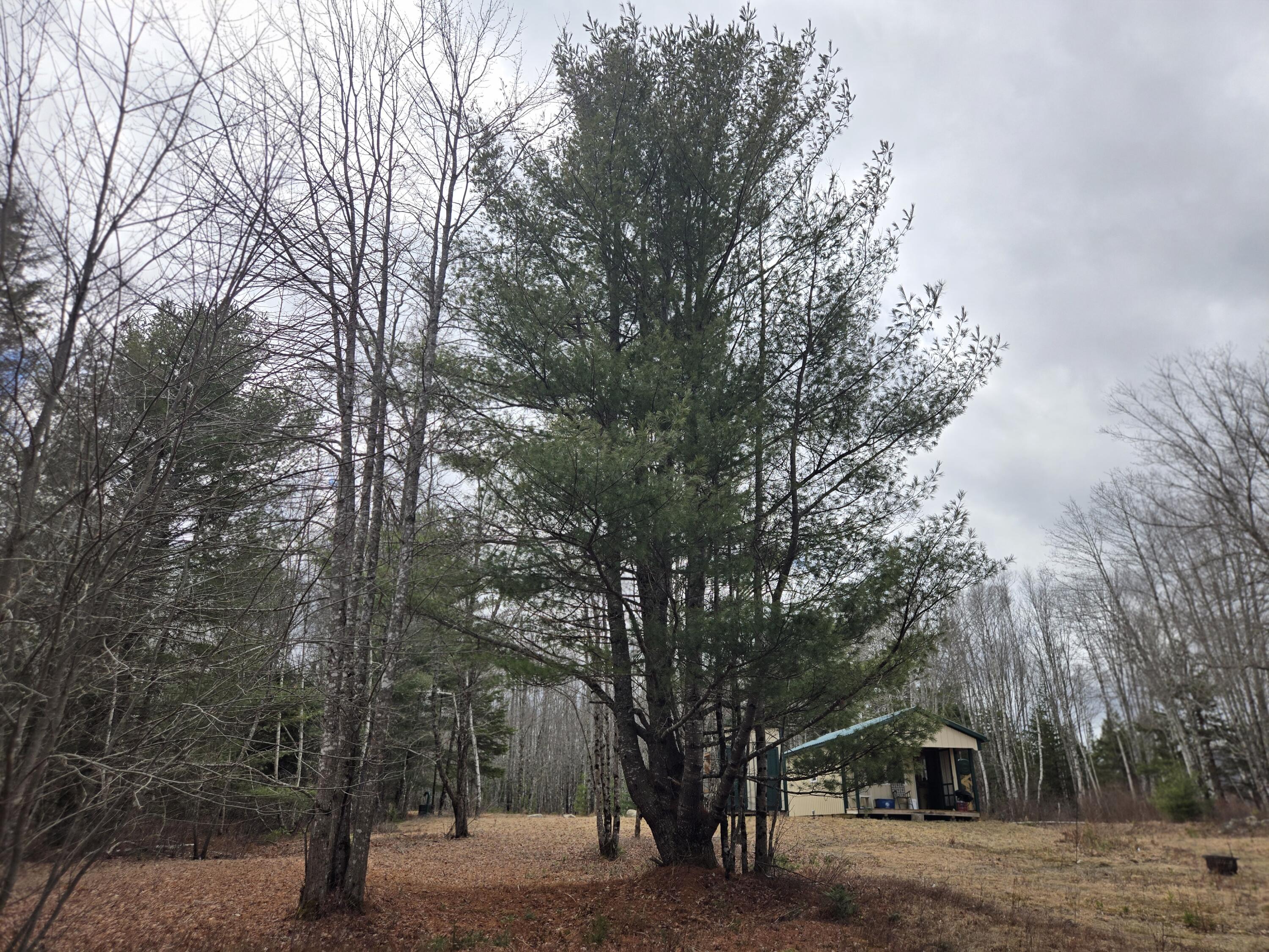 84 Hanscom Road Whitneyville ME 04654