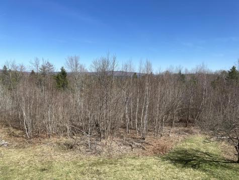 20 Bean Hill Harmony ME 04942