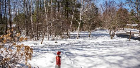 71 Fogg Road Buxton ME 04093