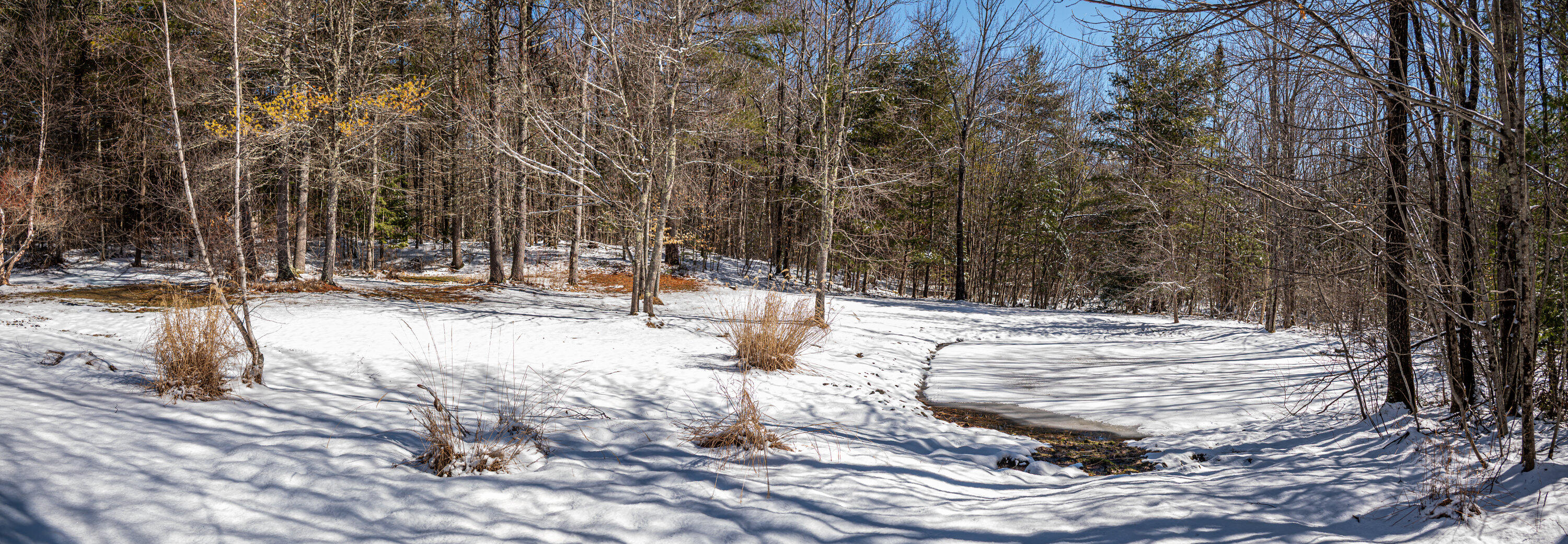 71 Fogg Road Buxton ME 04093