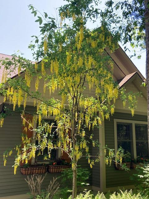 21 Bald Mountain Road Camden ME 04843