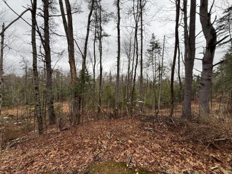 732 Roosevelt Trail Casco ME 04015