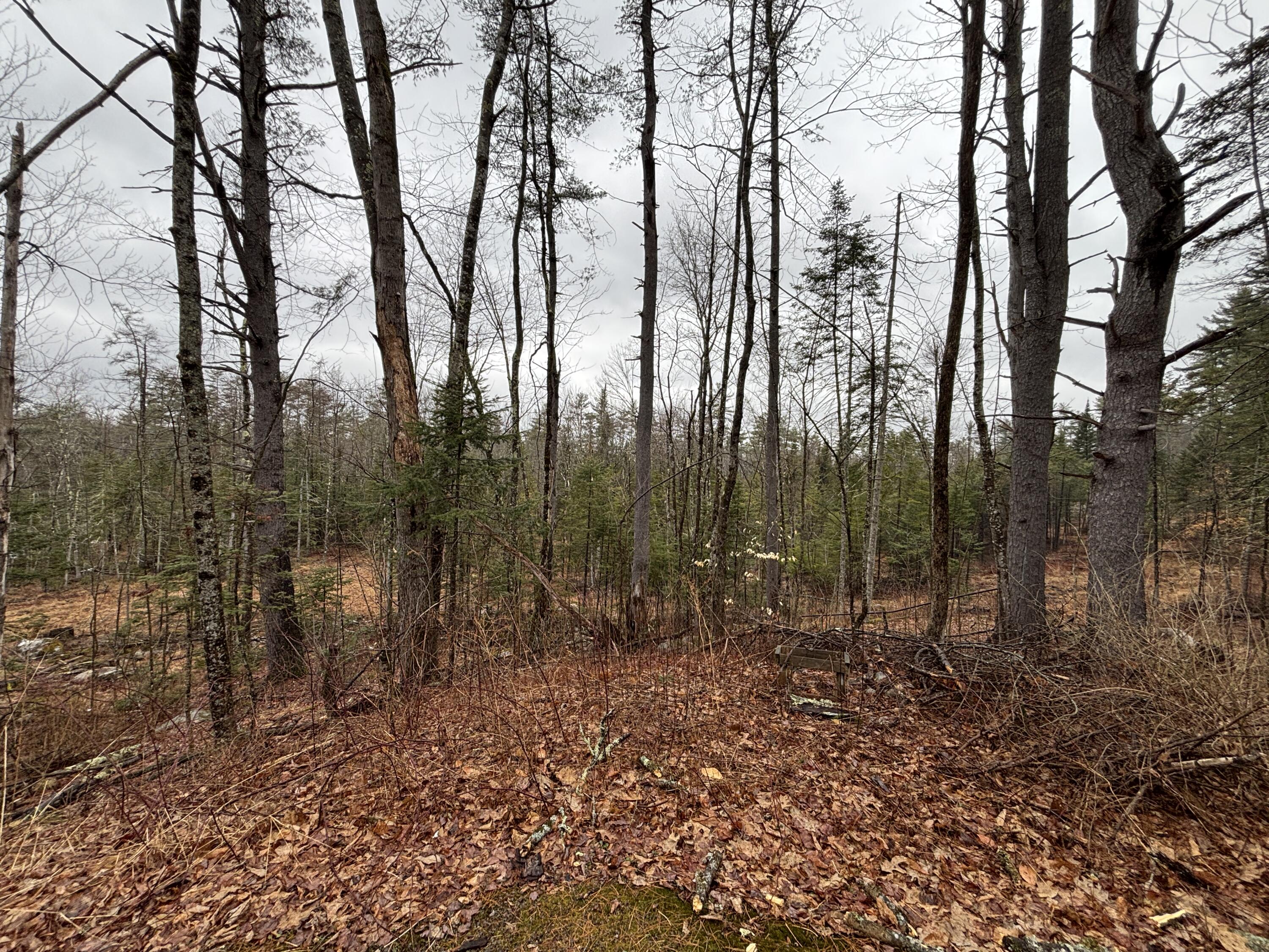 732 Roosevelt Trail Casco ME 04015