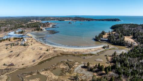 343 Dixie Road Trescott Twp ME 04652