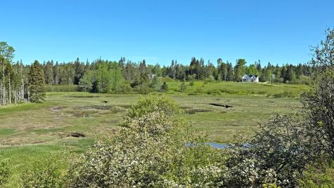 343 Dixie Road Trescott Twp ME 04652