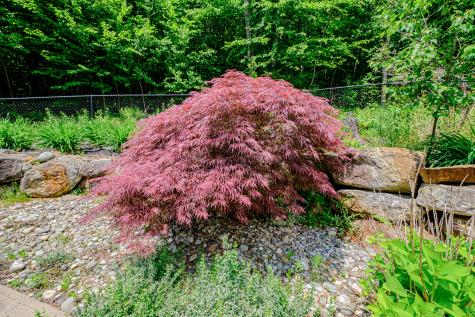 309A Cushman Road Woodstock ME 04219