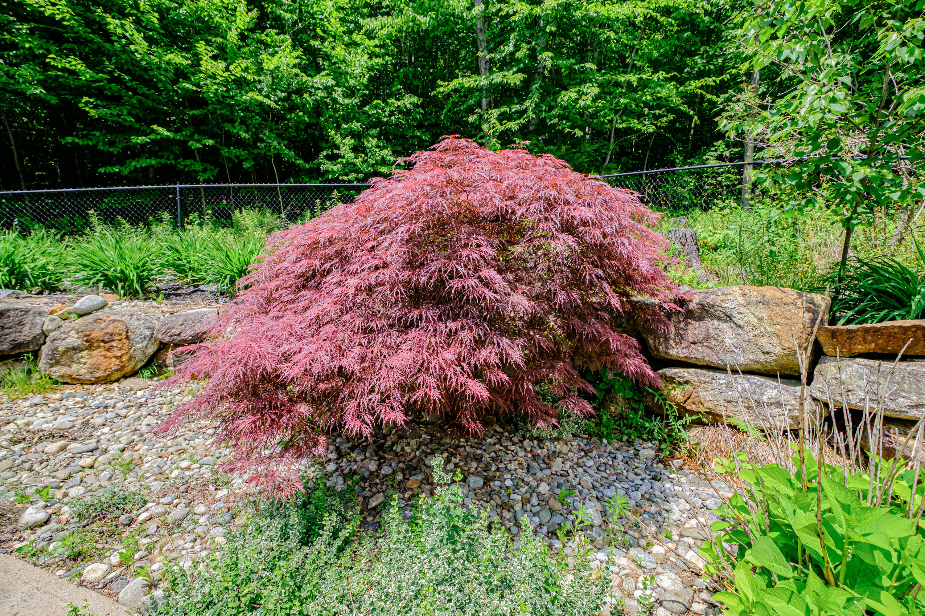 309A Cushman Road Woodstock ME 04219