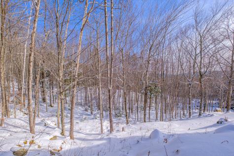 309A Cushman Road Woodstock ME 04219