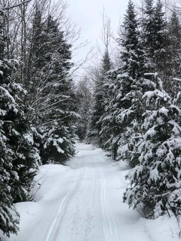 2060 Dexter Road Dover-foxcroft ME 04426