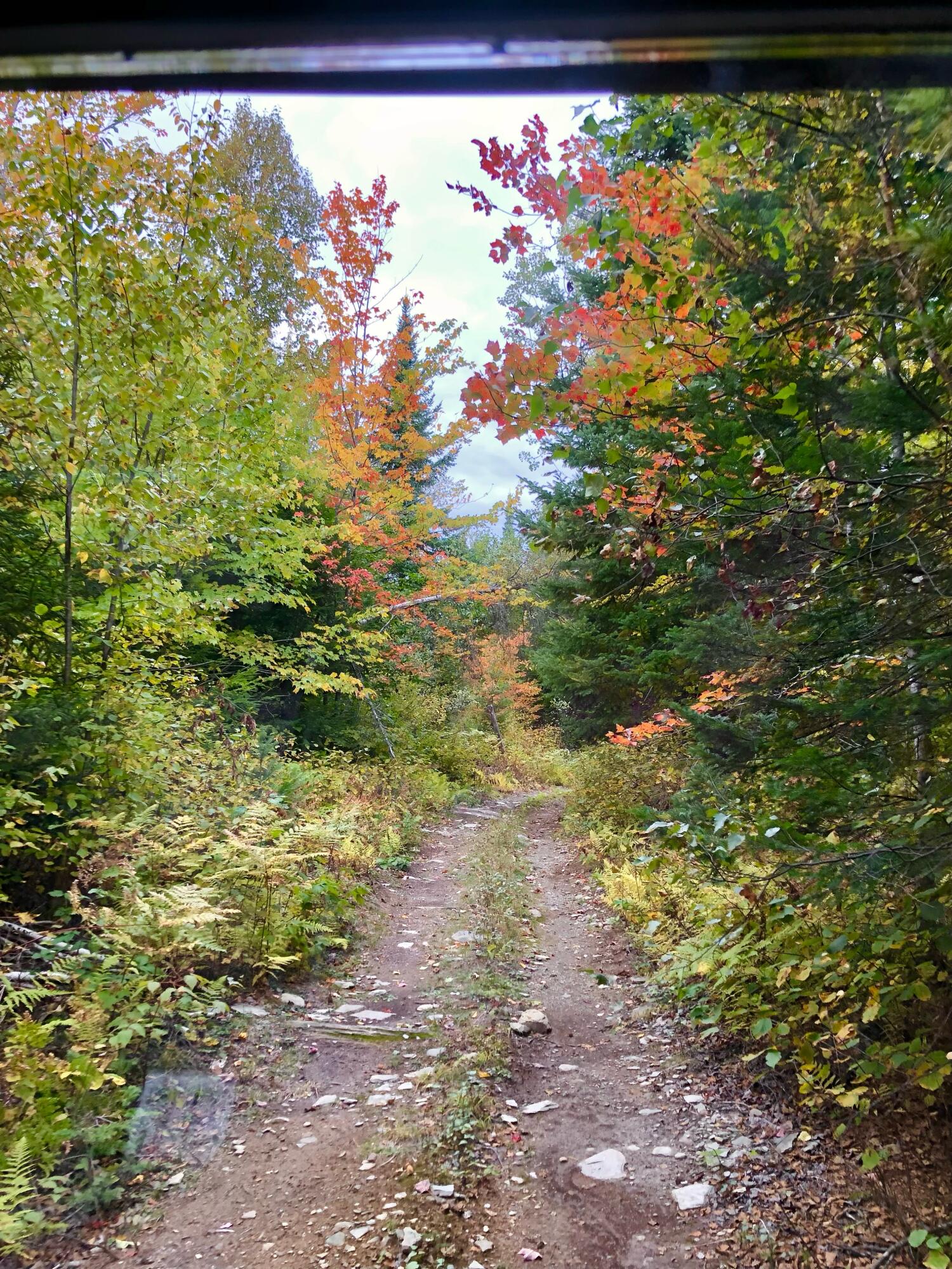 2060 Dexter Road Dover-foxcroft ME 04426