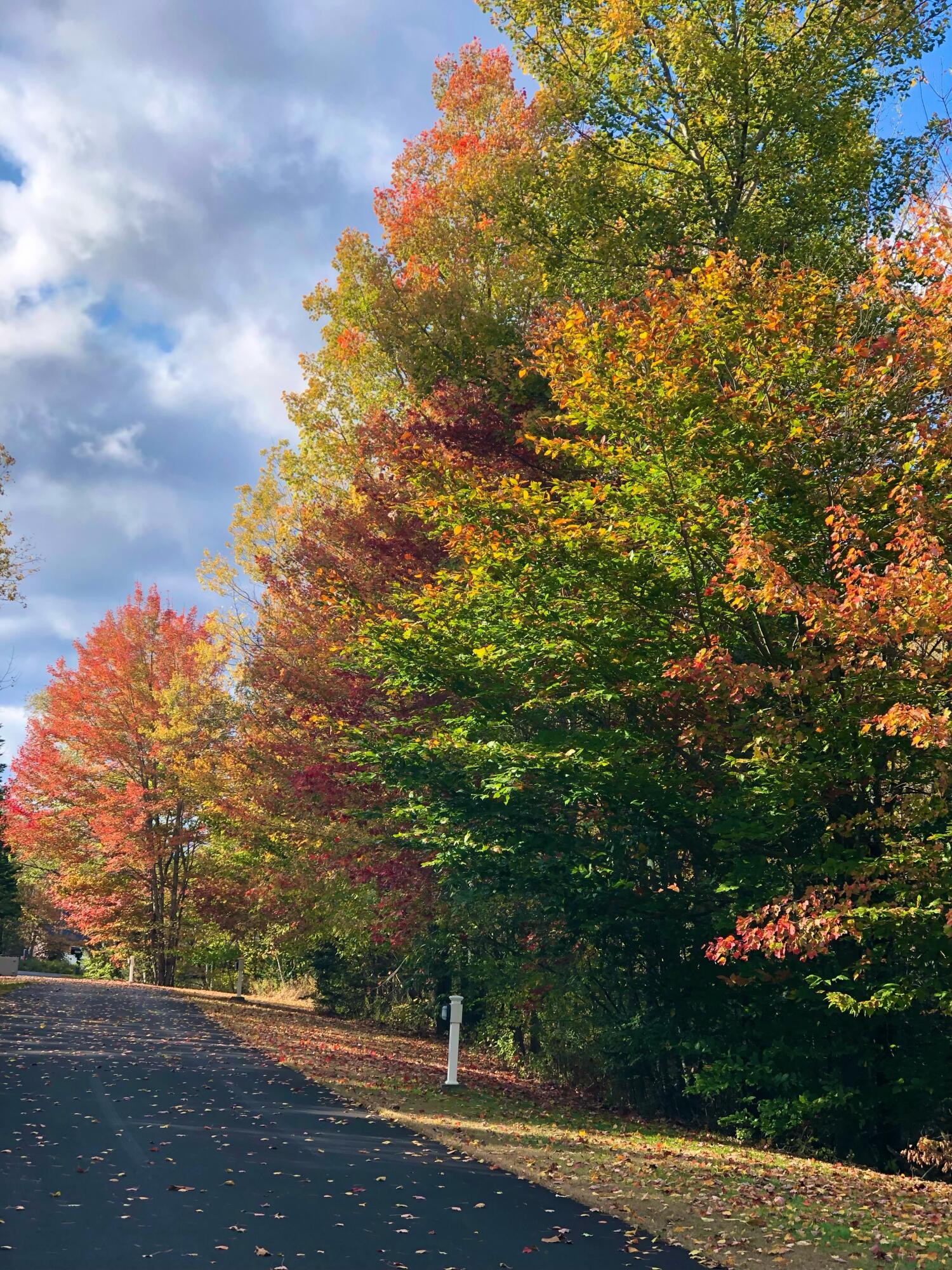 2060 Dexter Road Dover-foxcroft ME 04426