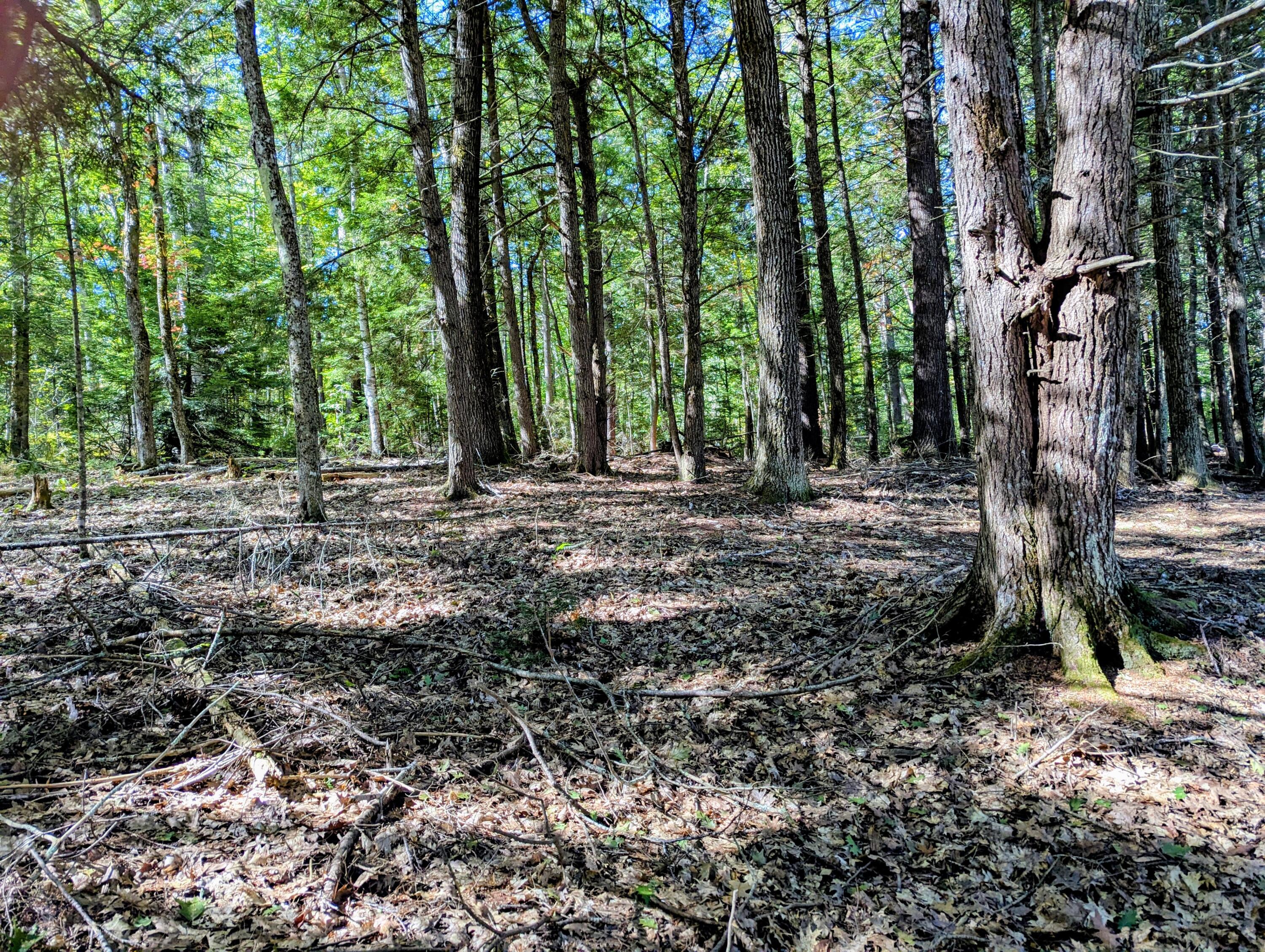 755 Winslows Mills Road N Waldoboro ME 04572