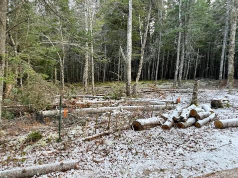 681 Duck Cove Road Roque Bluffs ME 04654