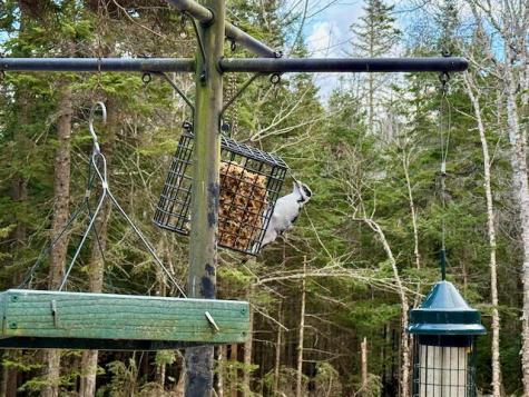 681 Duck Cove Road Roque Bluffs ME 04654